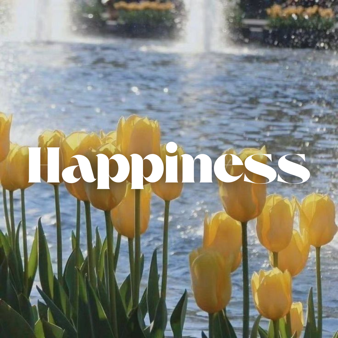 Happiness Moment
